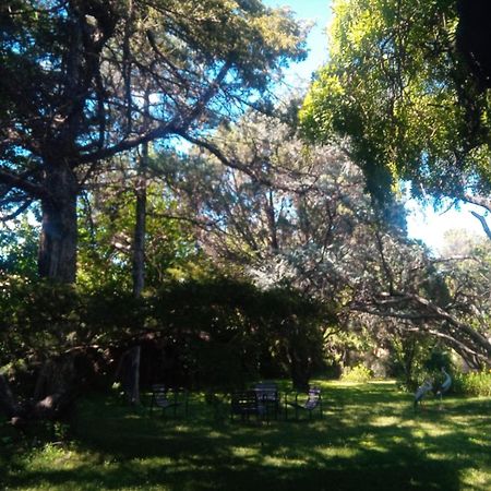 Cabana En Quinta La Aurora Mina Clavero Esterno foto