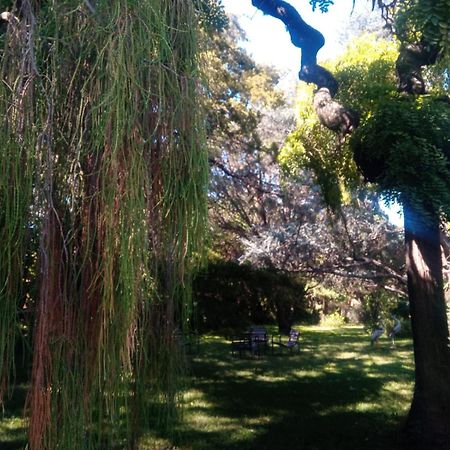 Cabana En Quinta La Aurora Mina Clavero Esterno foto