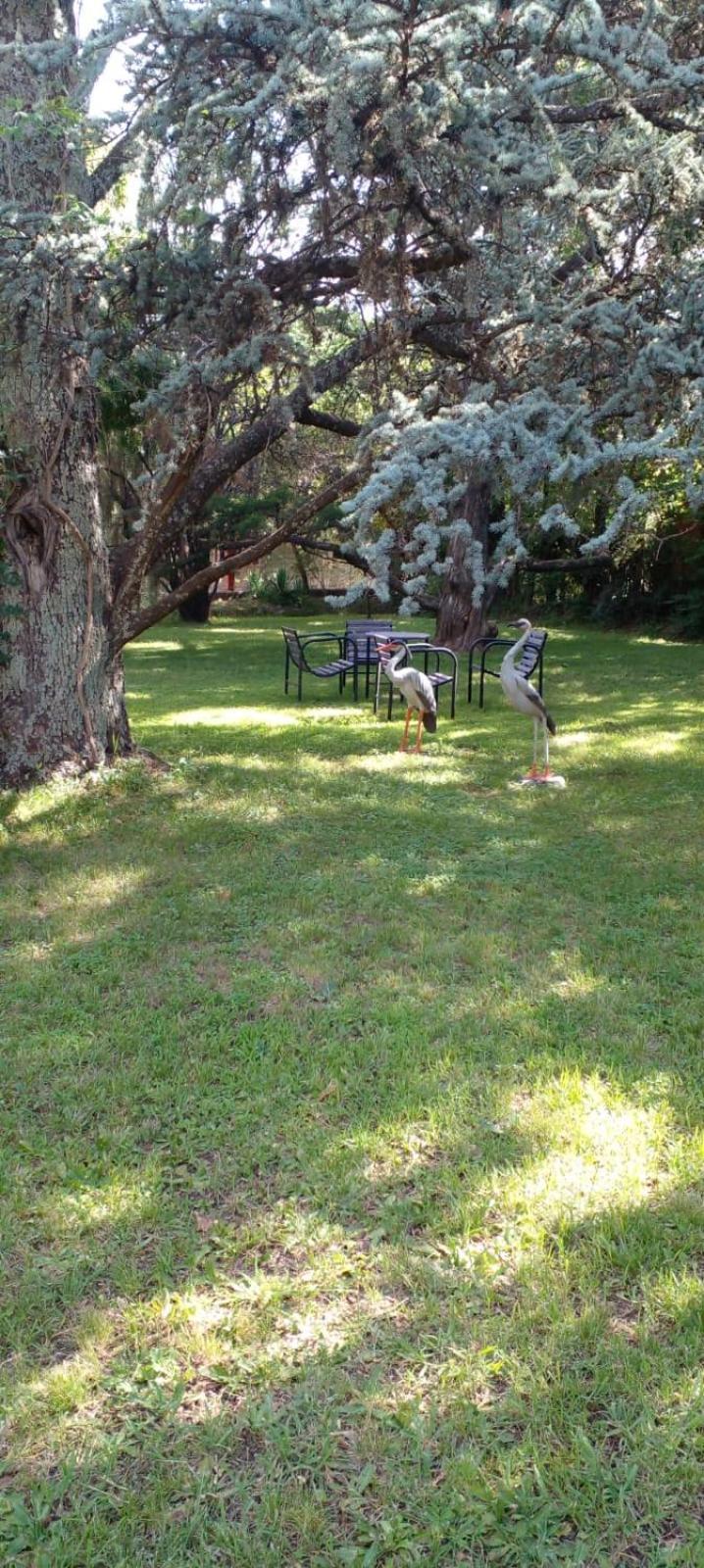 Cabana En Quinta La Aurora Mina Clavero Esterno foto