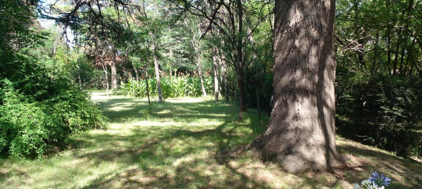 Cabana En Quinta La Aurora Mina Clavero Esterno foto